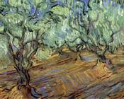 文森特 威廉 梵高 : 橄榄园